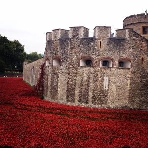 lest we forget poppies